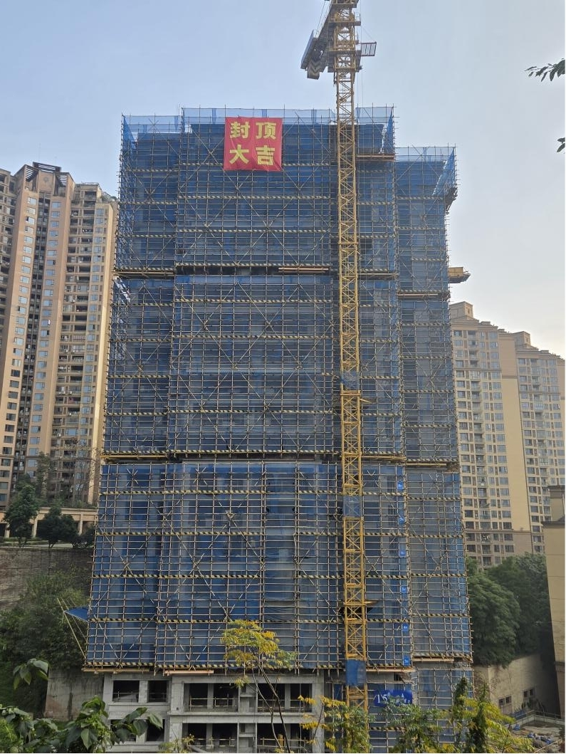 1769501974140404.jpg 1769501974140404.jpg